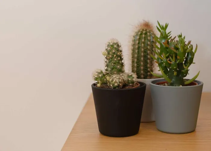 Liiiving In - Invictus Bolhao Market Apartamento